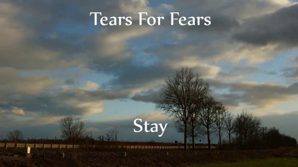 Stay Chords Tears for Fears